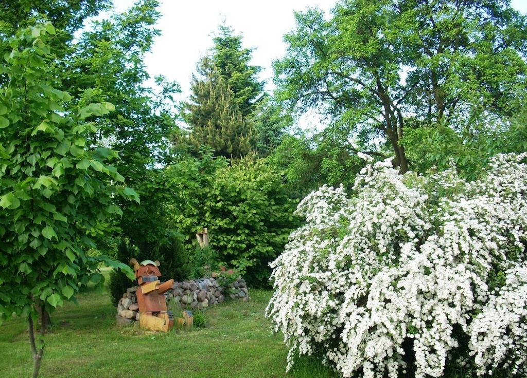 Ferienwohnung Marienkaefer Wulkow  Dış mekan fotoğraf